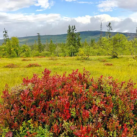 Feriehus Familiehytte, Budor - Hedmarksvidda 60 Minutter Fra Osl Loten